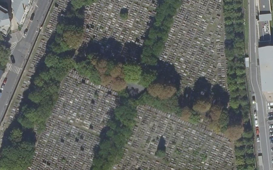 Vue aérienne du Mini-giratoire n°1883567893