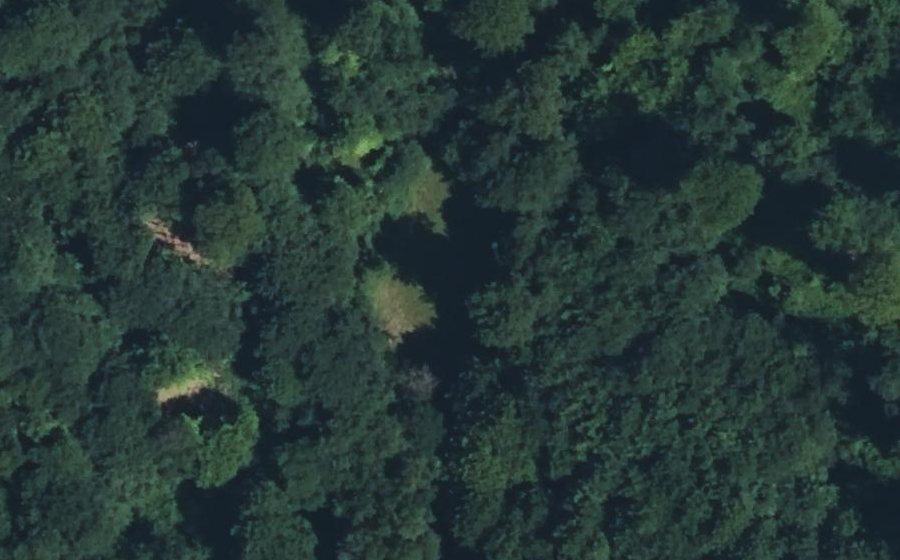 Vue aérienne du Mini-giratoire n°2844329813