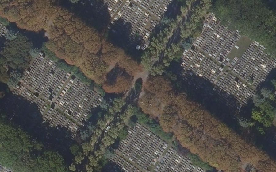 Vue aérienne du Rond-point anonyme n°244839048