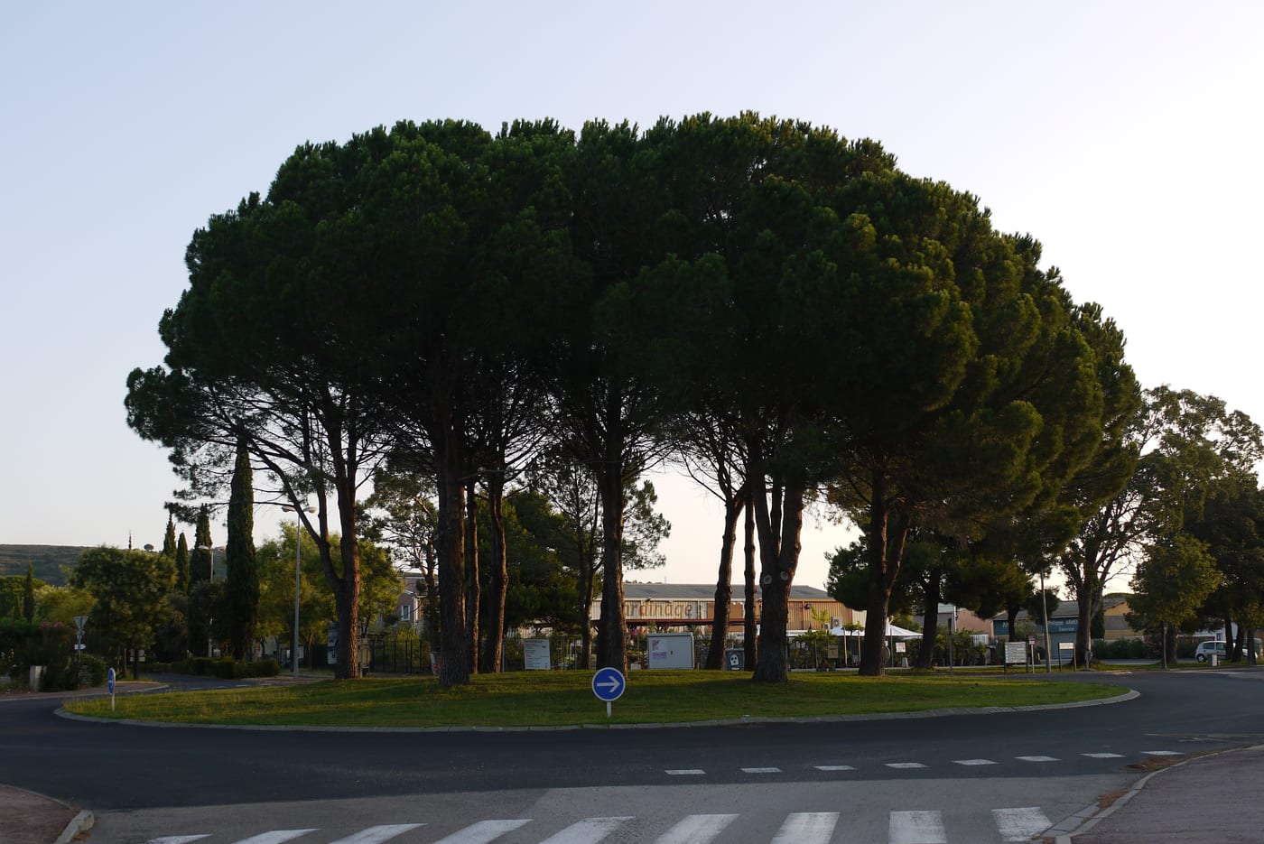 Photo du Rond-Point des Pyrénées
