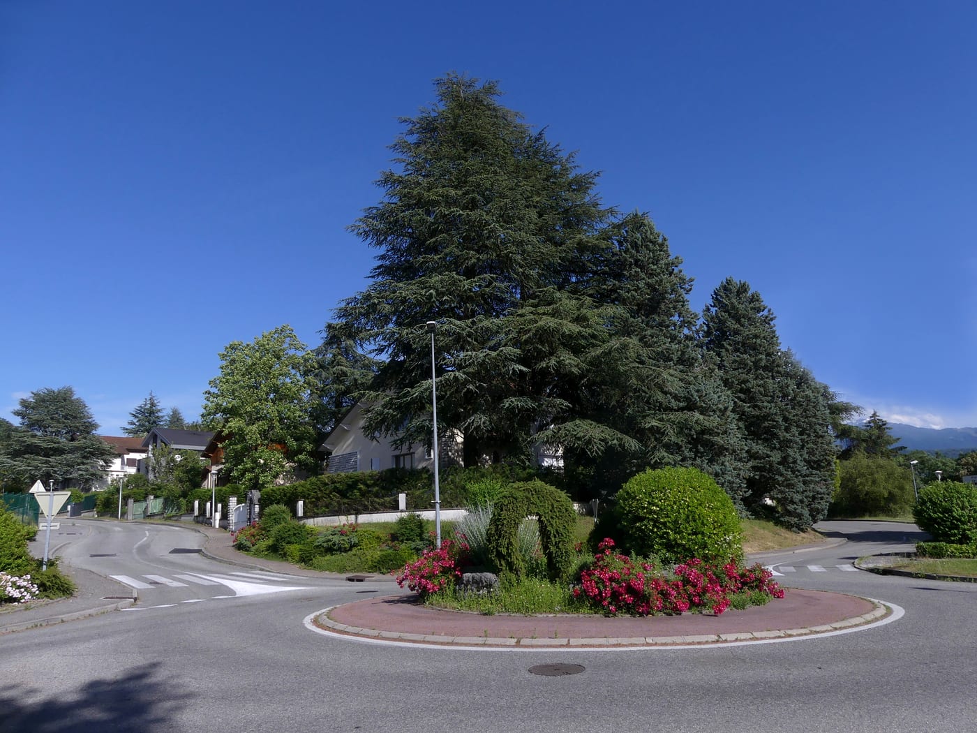 Photo du Rond-Point Léonard de Vinci