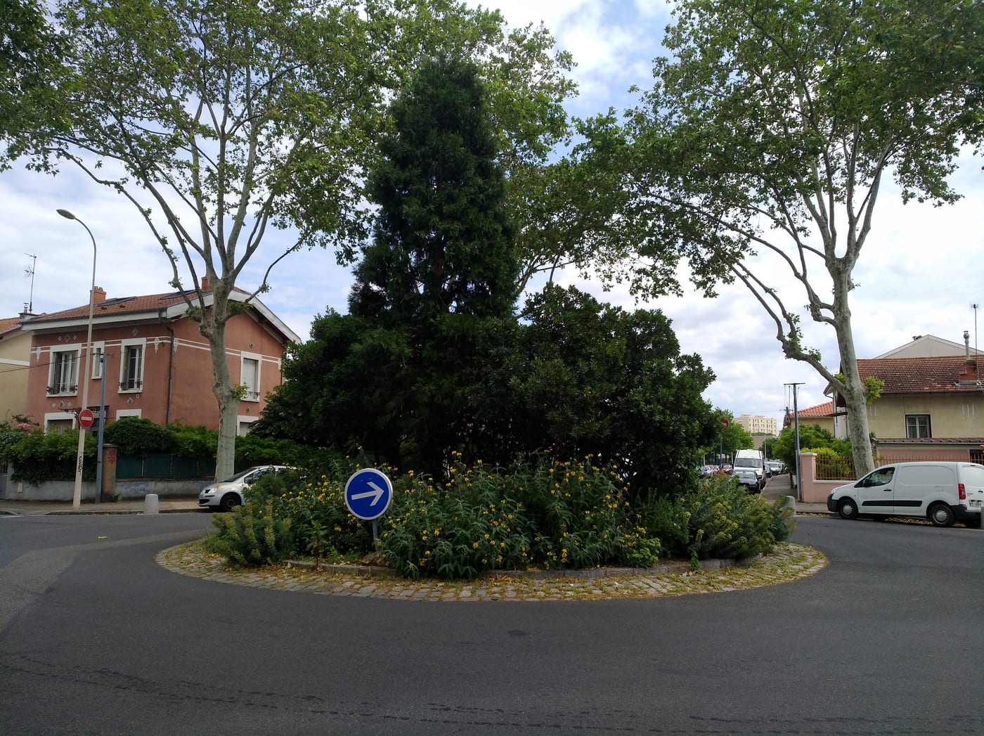 Photo du Rond-point anonyme n°5940048