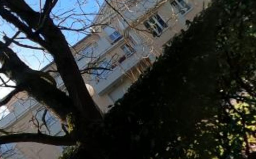 Vue du Mini-giratoire n°205491936