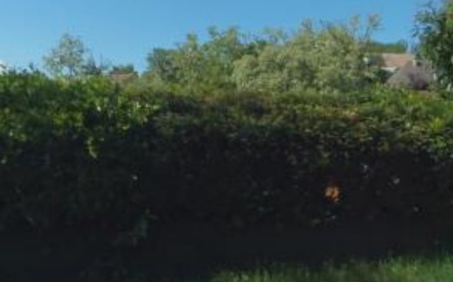 Vue du Mini-giratoire n°388807104