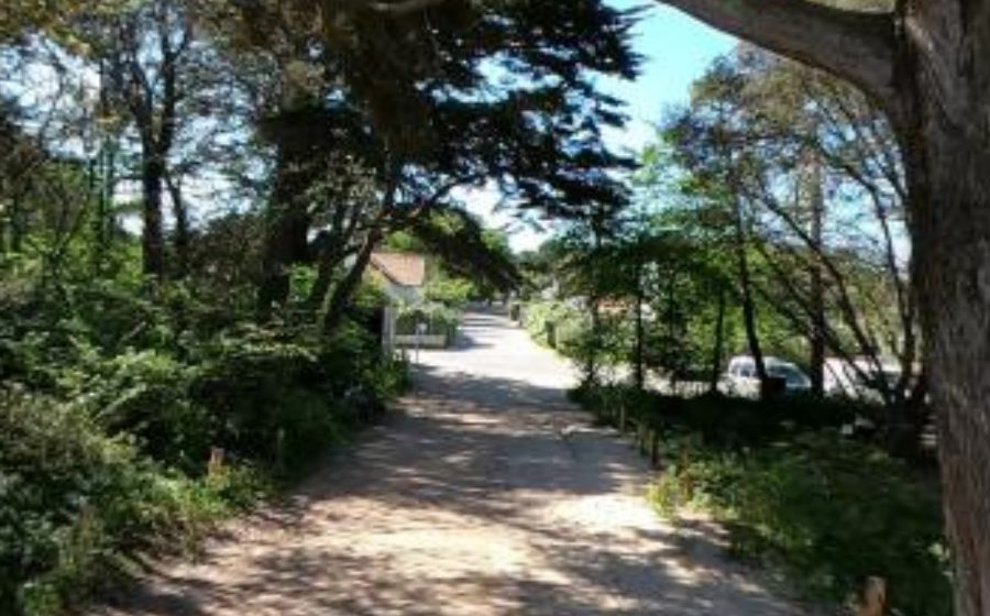 Vue du Mini-giratoire n°391437131