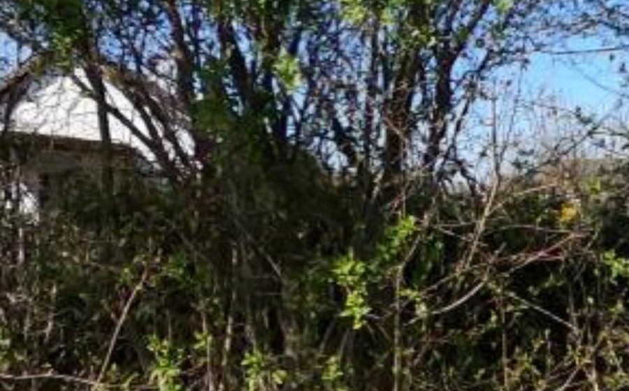 Vue du Mini-giratoire n°415722160