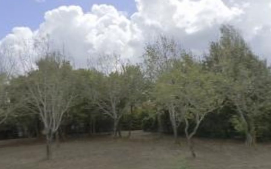 Vue du Mini-giratoire n°420597011