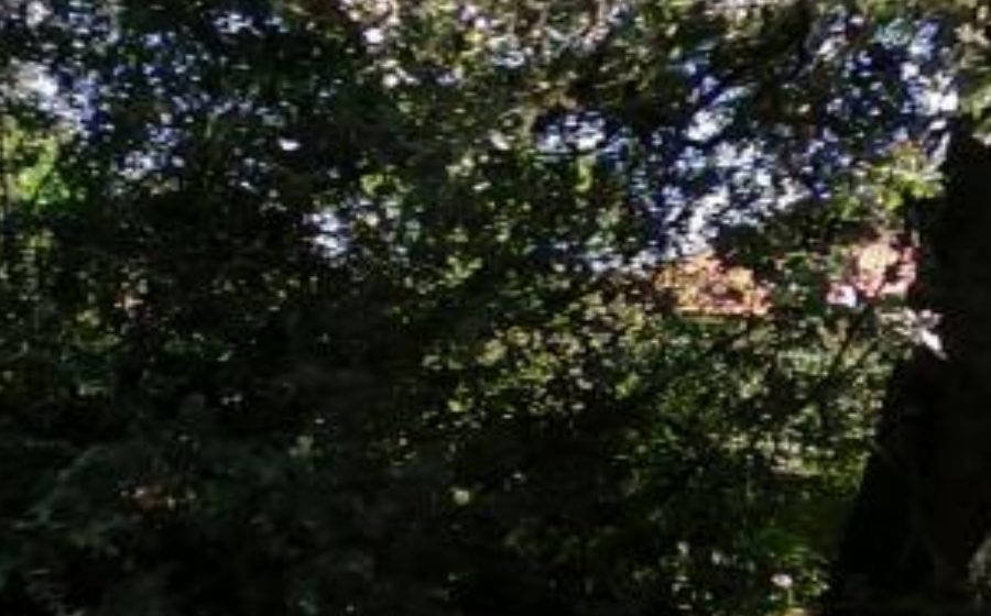 Vue du Mini-giratoire n°440928332