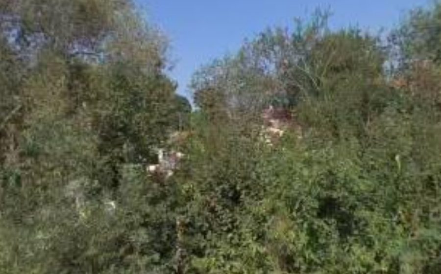 Vue du Mini-giratoire n°442863715