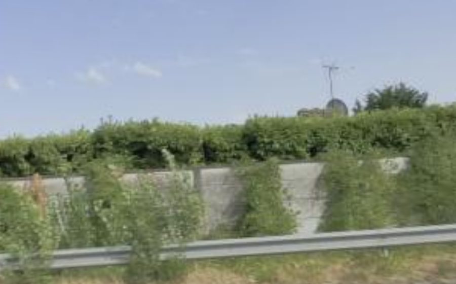 Vue du Mini-giratoire n°532600276
