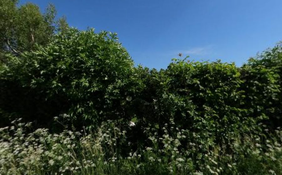Vue du Mini-giratoire n°595570501