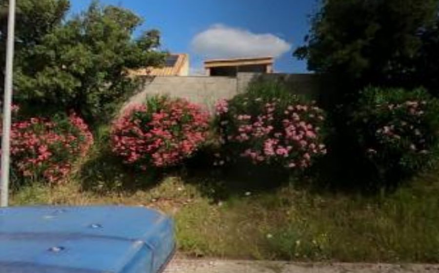 Vue du Mini-giratoire n°725243906