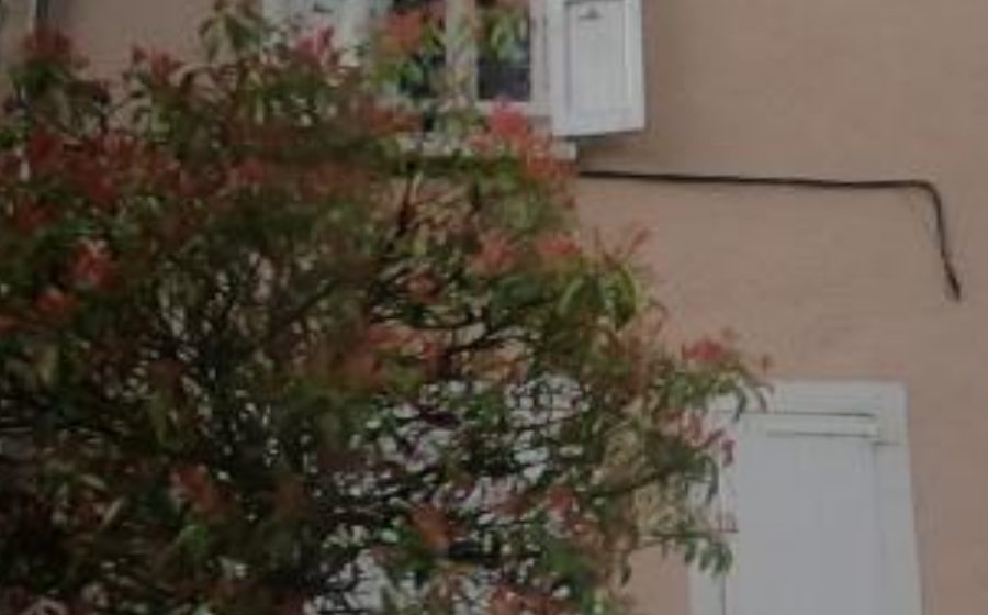 Vue du Mini-giratoire n°807803280