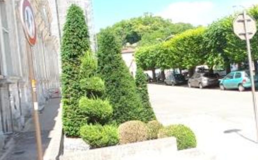 Vue du Mini-giratoire n°1393001716