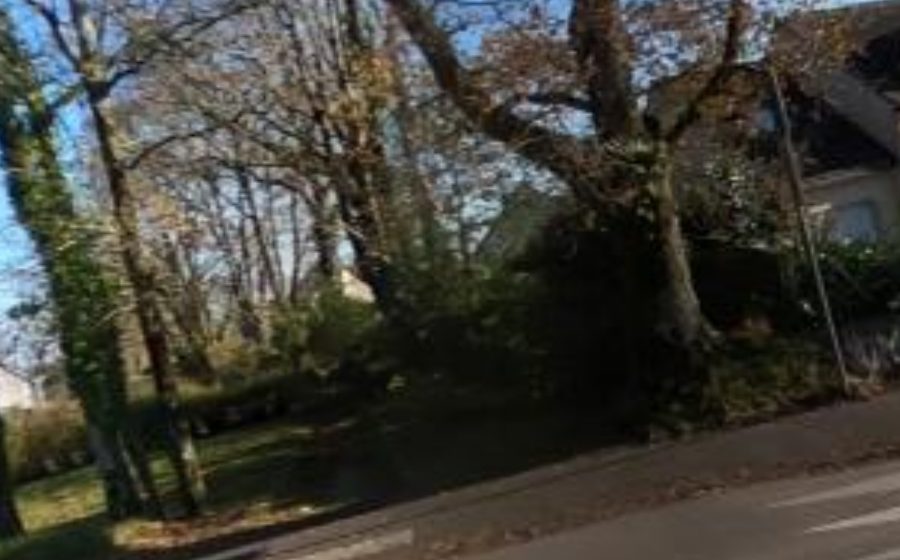 Vue du Mini-giratoire n°1428308996