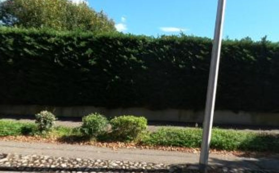 Vue du Mini-giratoire n°1432487828