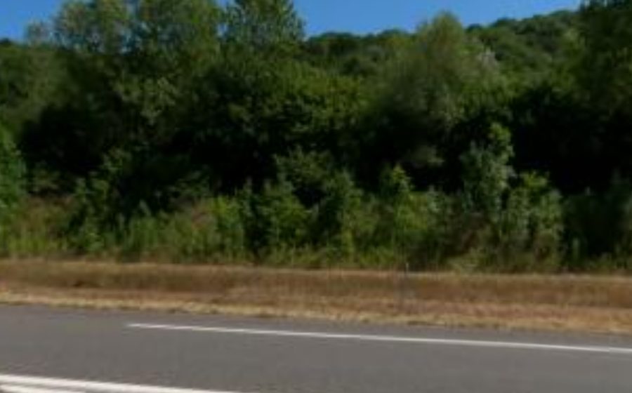 Vue du Mini-giratoire n°1459092955