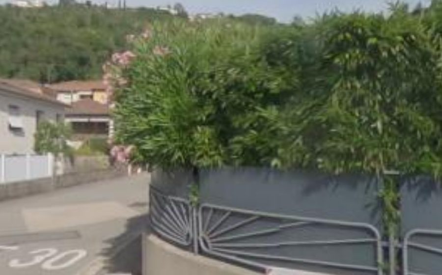 Vue du Mini-giratoire n°1551604379