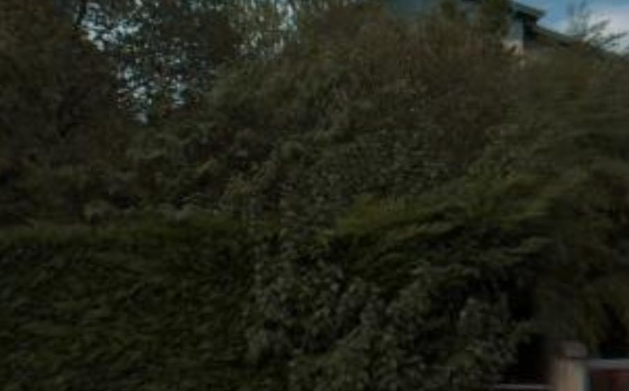 Vue du Mini-giratoire n°1582588958