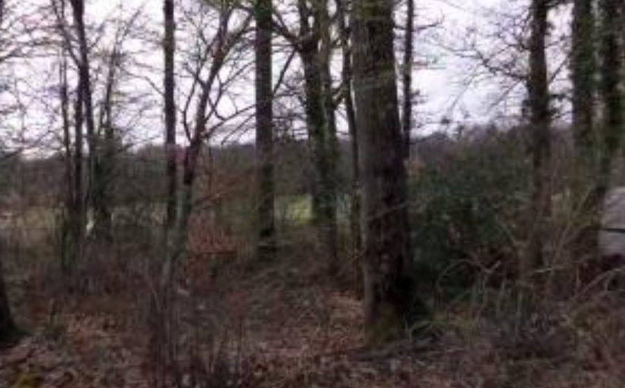 Vue du Mini-giratoire n°2070583531