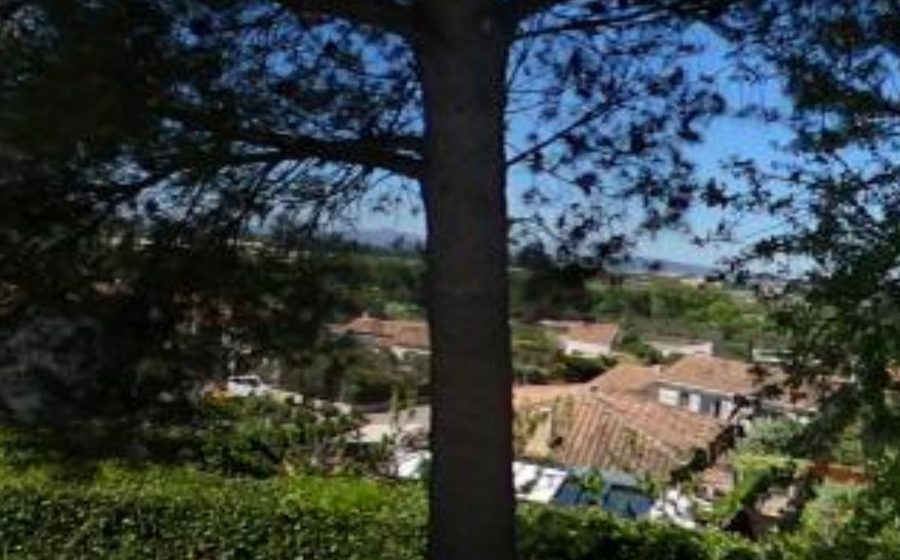 Vue du Mini-giratoire n°2085968662