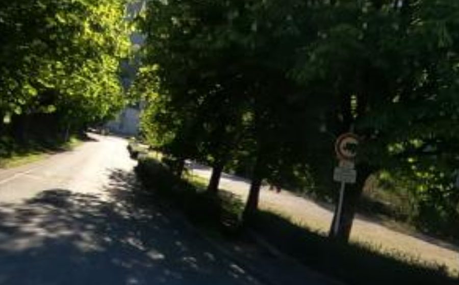 Vue du Mini-giratoire n°2379604093