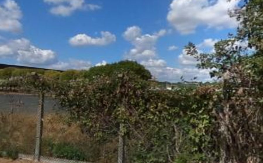 Vue du Mini-giratoire n°2388278583
