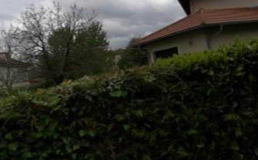 Vue du Mini-giratoire n°2514392703