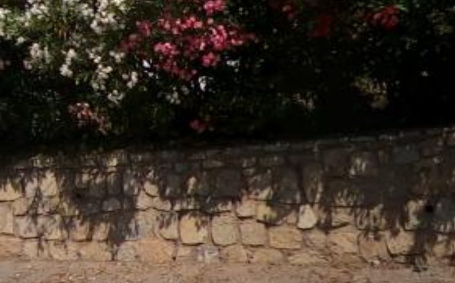 Vue du Mini-giratoire n°2687573969