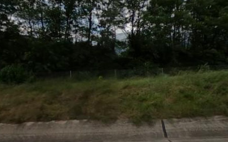 Vue du Mini-giratoire n°3035048081
