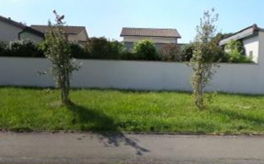 Vue du Mini-giratoire n°3234890318