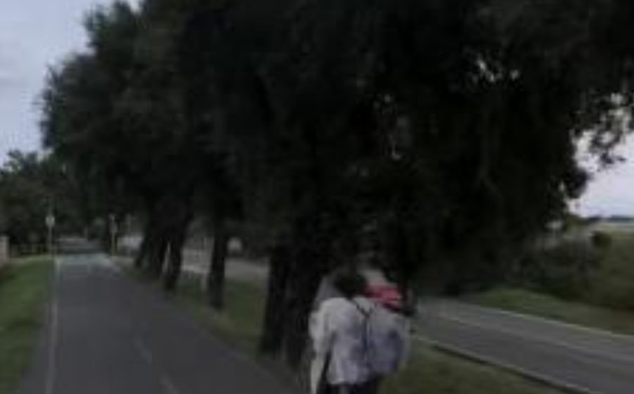 Vue du Rond-point anonyme n°103323055
