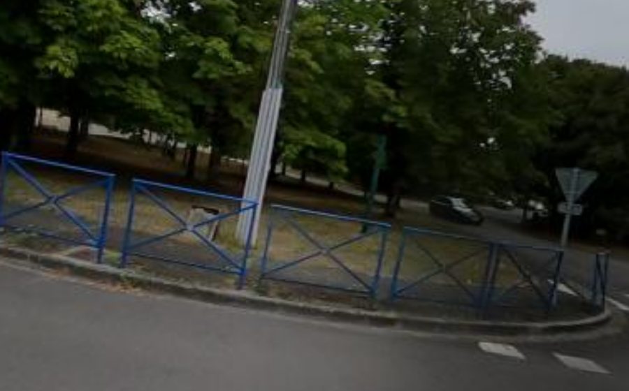 Vue du Mini-giratoire n°3372283232