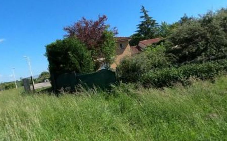 Vue du Mini-giratoire n°3986532985