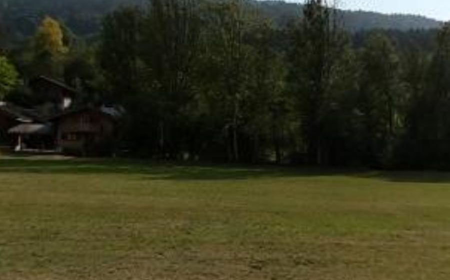 Vue du Mini-giratoire n°4210826633