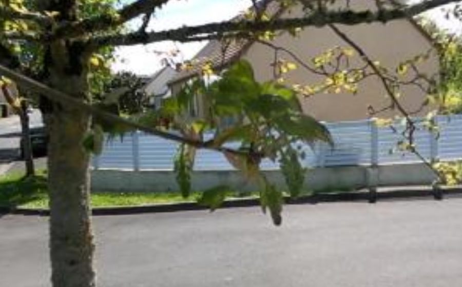 Vue du Mini-giratoire n°4545406295