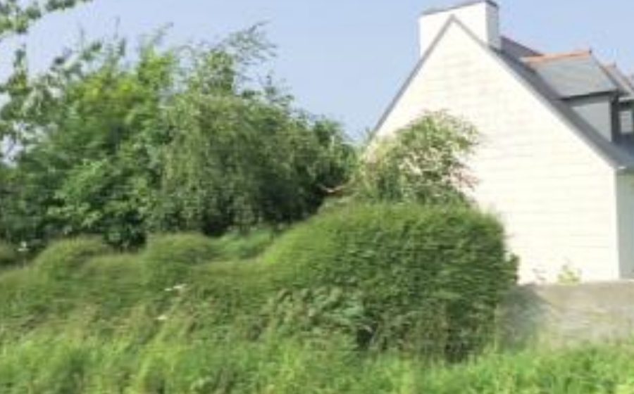 Vue du Mini-giratoire n°5577245355