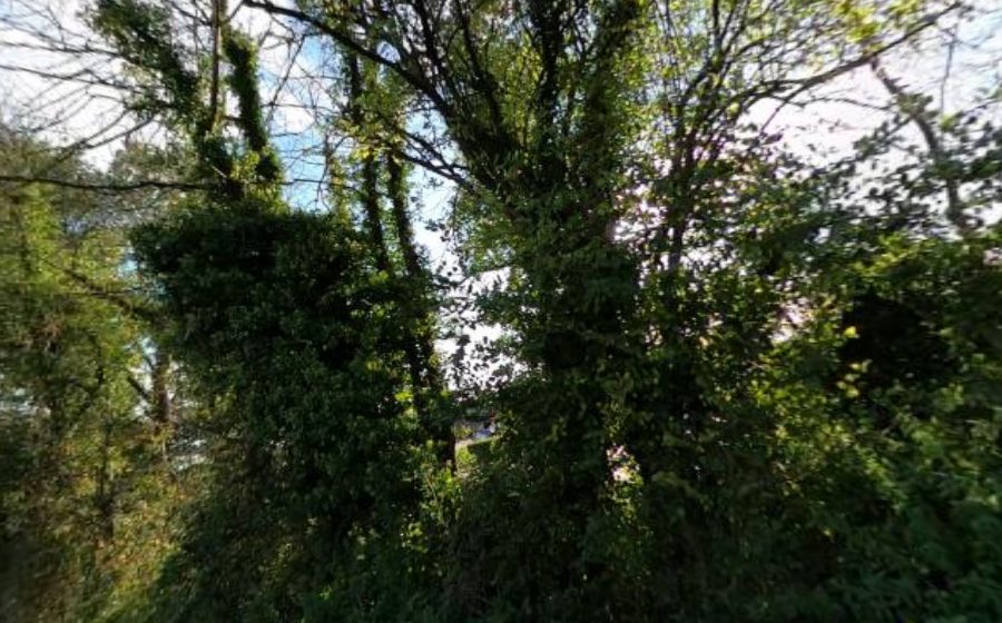 Vue du Mini-giratoire n°5780134679