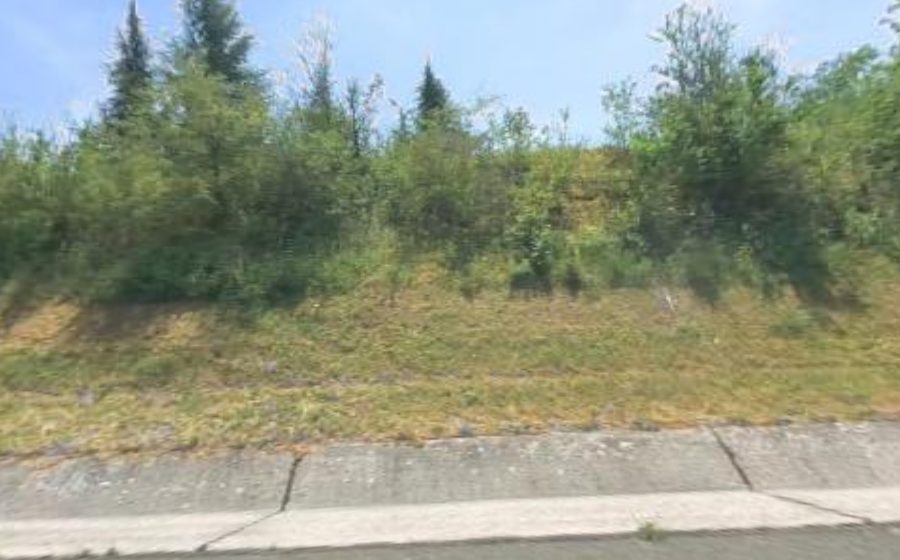 Vue du Rond-point anonyme n°106279583