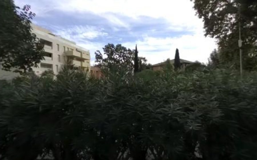 Vue du Avenue Lou Mistraou