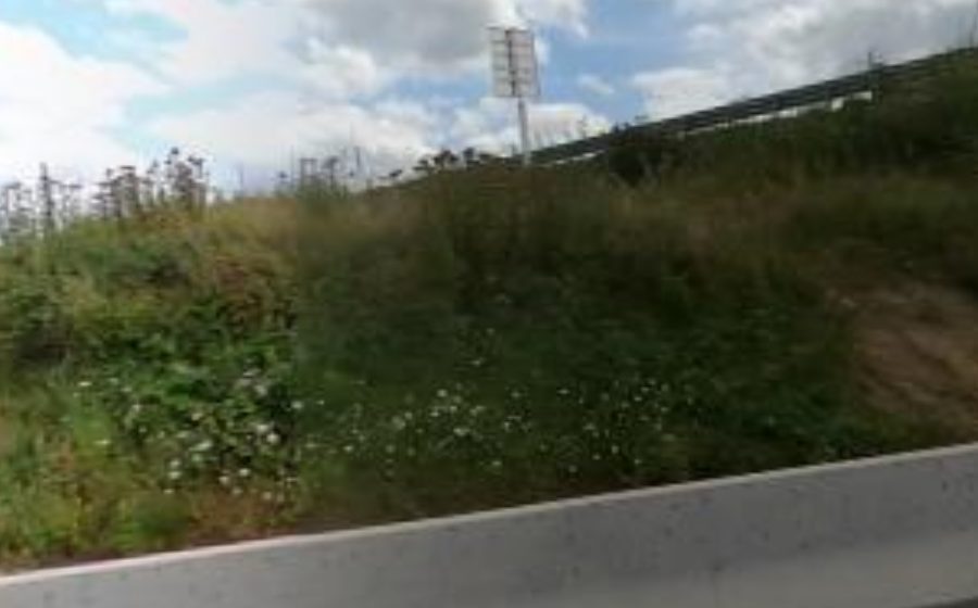 Vue du Rond-point anonyme n°1066583157