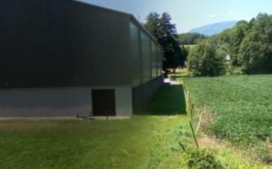 Vue du Mini-giratoire n°8255522513