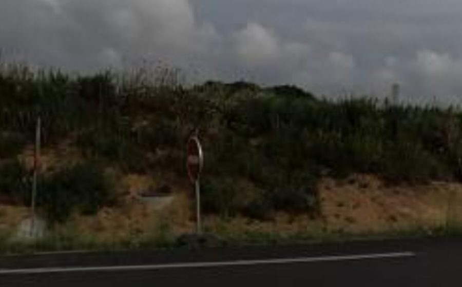 Vue du Rond-point anonyme n°1089802675