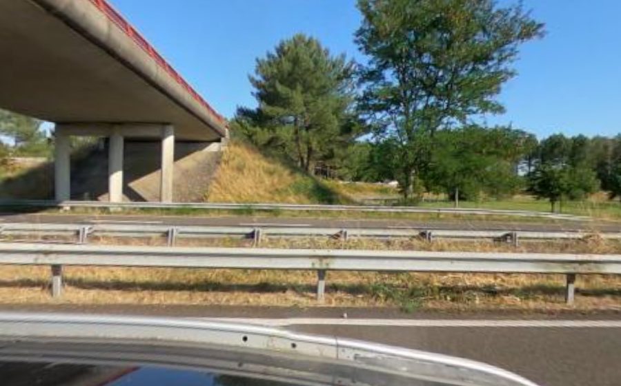 Vue du Rond-point anonyme n°109207006