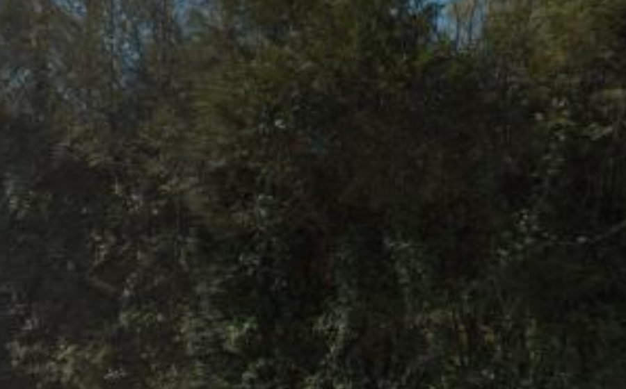 Vue du Mini-giratoire n°10138145530