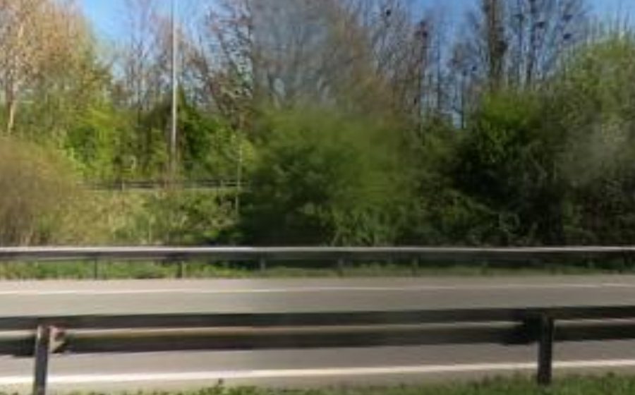 Vue du Rond-point anonyme n°1117423746