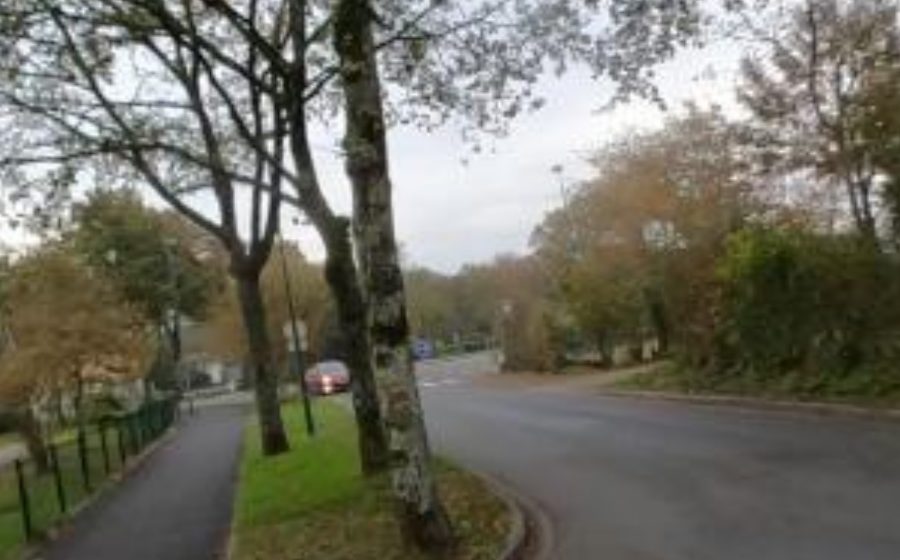 Vue du Rond-point anonyme n°112308177