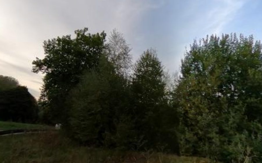 Vue du Mini-giratoire n°13232377165