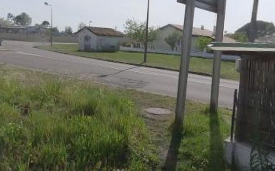 Vue du Rond-point anonyme n°116391636