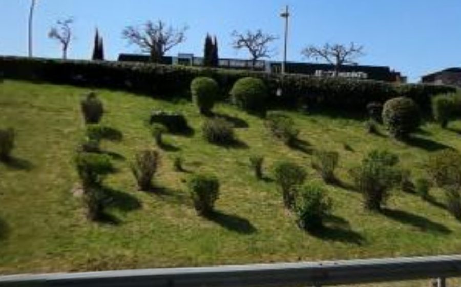 Vue du Rond-point anonyme n°123462411